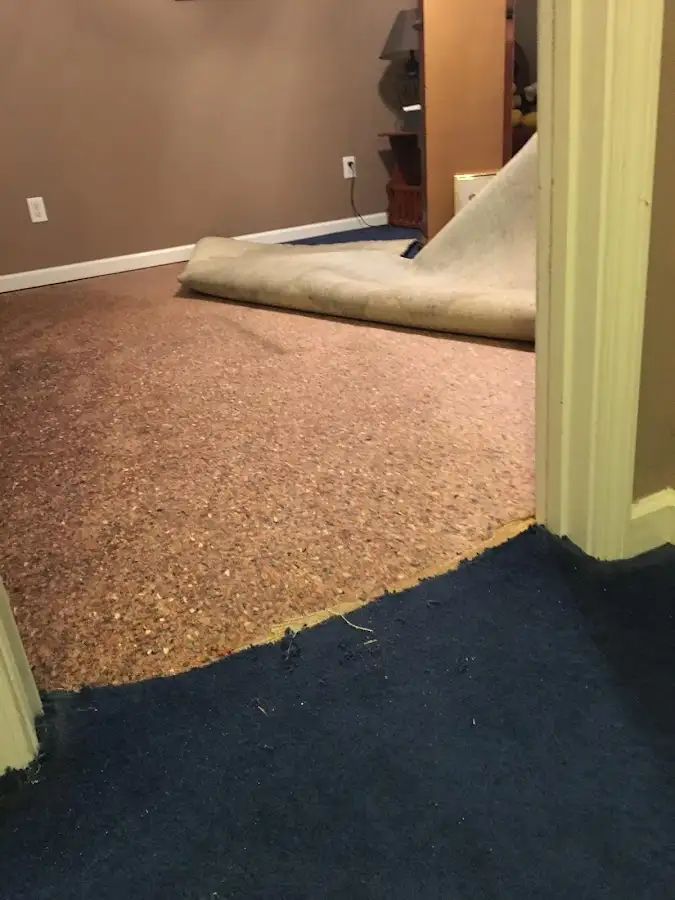 Carpet pad removal revealing water damage during Drying & Dehumidification in Gas City