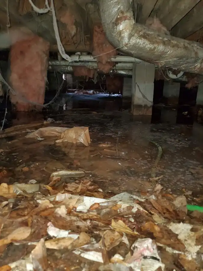 Crawl space flood assessment for Commercial Water Damage Restoration in Gas City