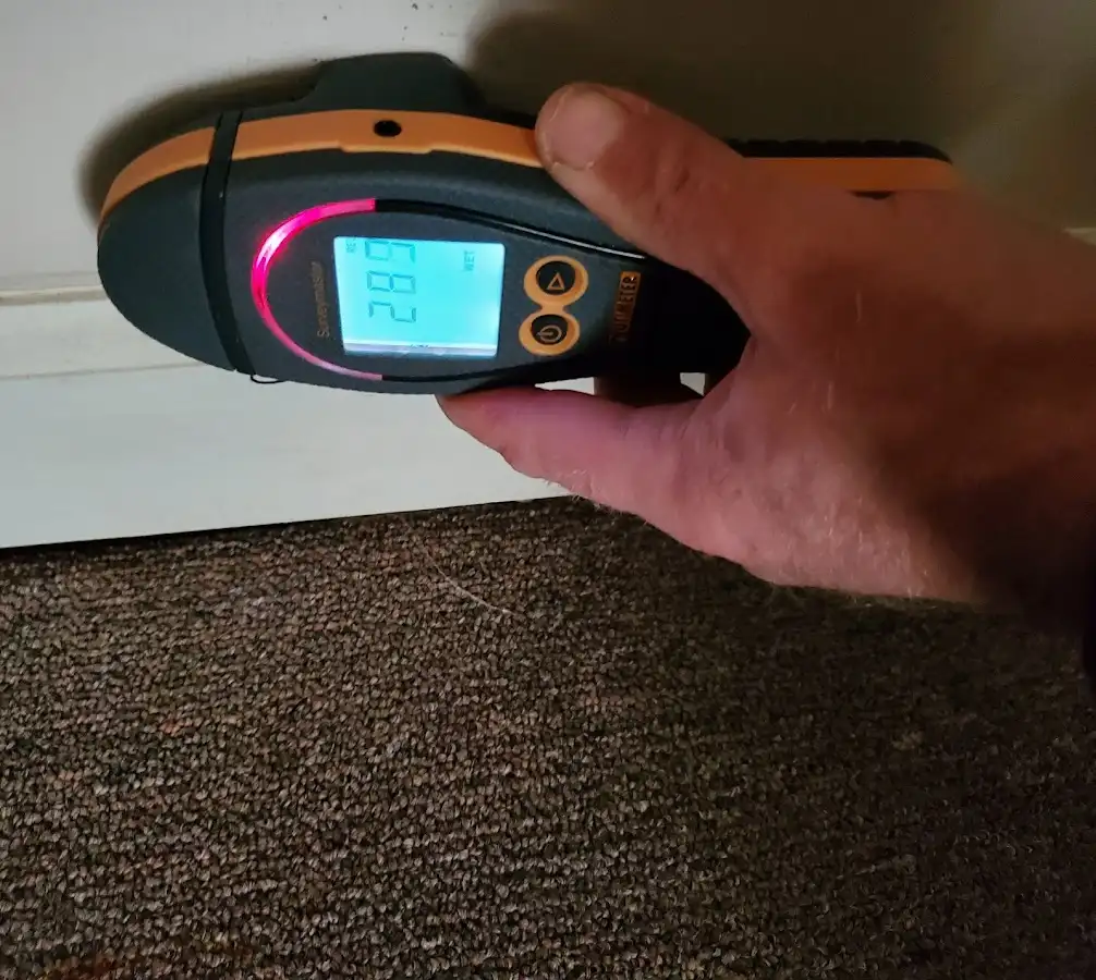 Moisture detection at baseboard during Sewage Cleanup & Sanitation in Gas City